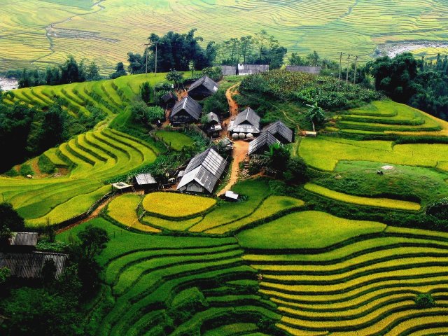 Vietnam 3
