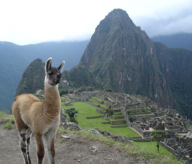 Machu-Picchu-3